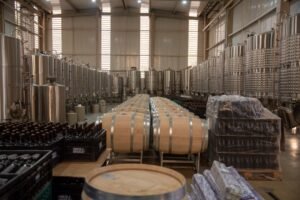 Syrah do DF possui até quatro vezes mais resveratrol que vinhos franceses