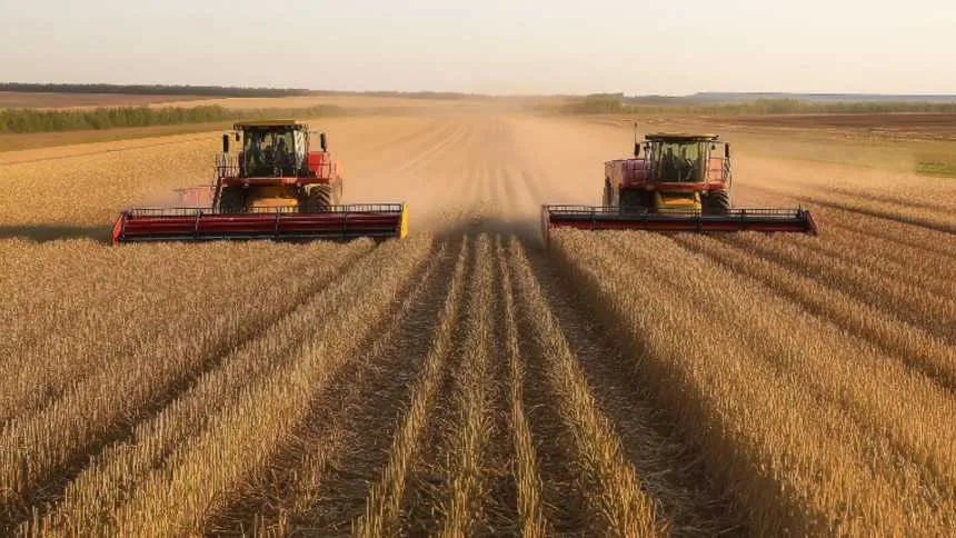 Safra sustenta economia e poderá frear desaceleração